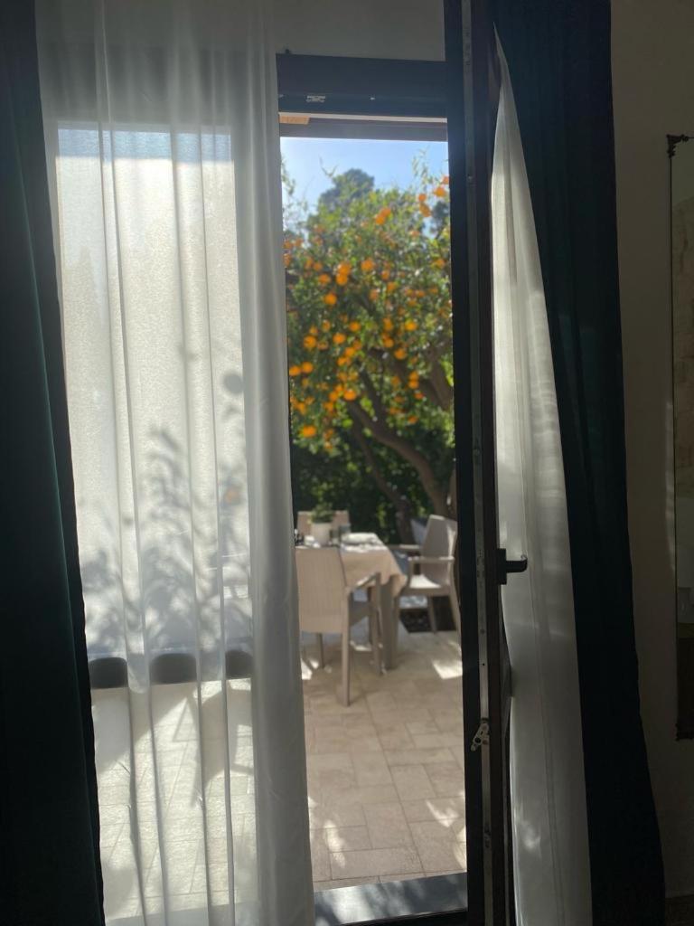 Casa Vacanza Il Mandarino 维格兰德 外观 照片