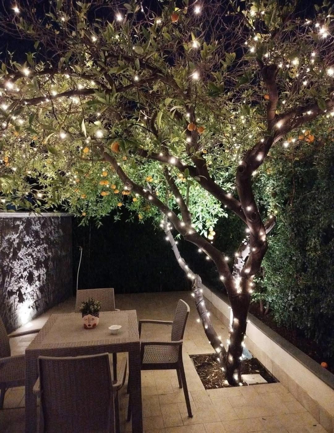Casa Vacanza Il Mandarino 维格兰德 外观 照片