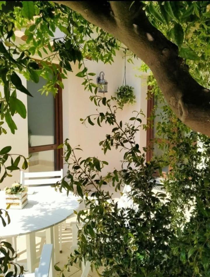 Casa Vacanza Il Mandarino 维格兰德 外观 照片
