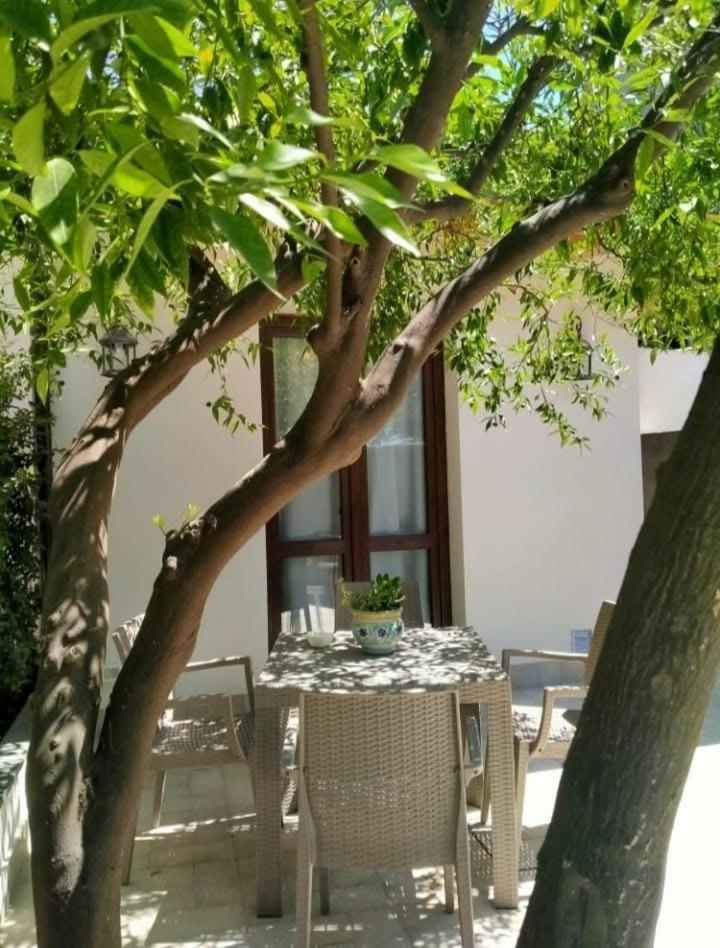 Casa Vacanza Il Mandarino 维格兰德 外观 照片